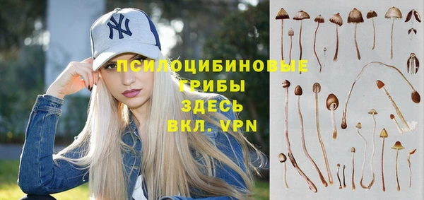 соль ск Алзамай