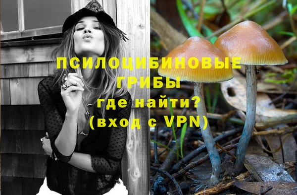 соль ск Алзамай