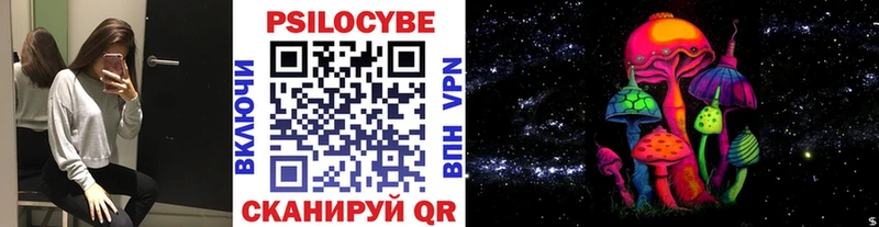 Псилоцибиновые грибы Psilocybe  цены наркотик  Иланский 